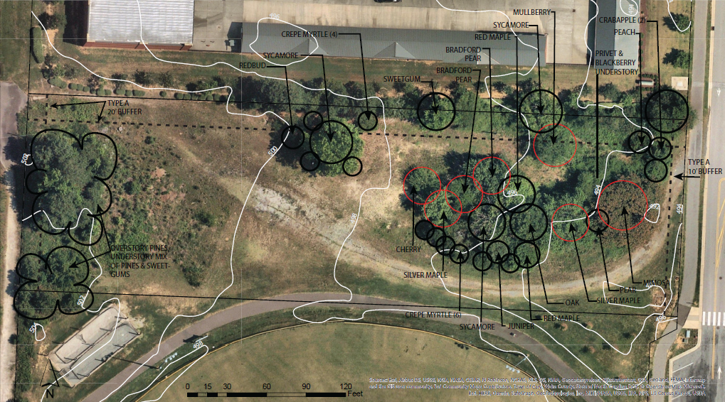 bike track existing conditions sketch